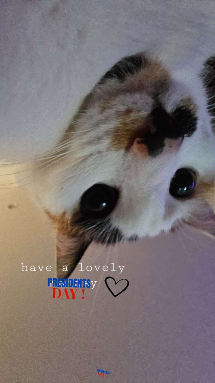 Judge Rayban realizing — have a lovely Presidents Day!
